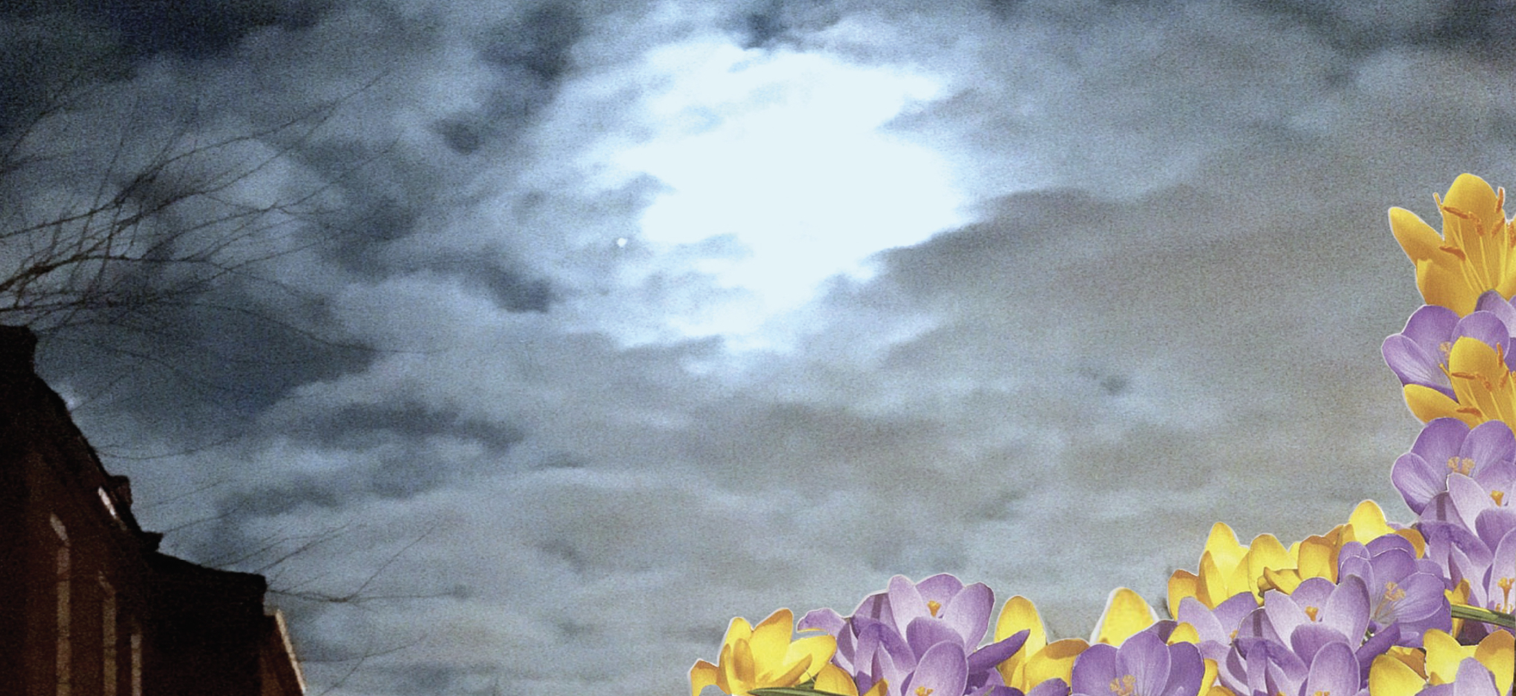 Keokuk Spring cd art_Inside